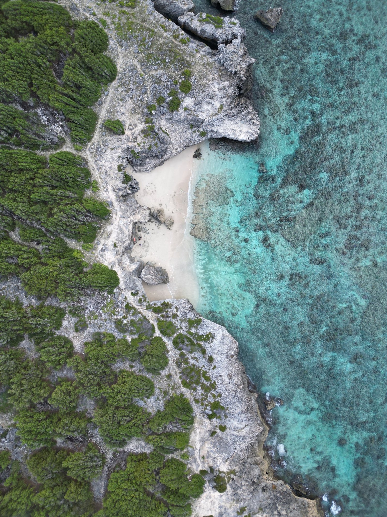 trou torrent vie from drone