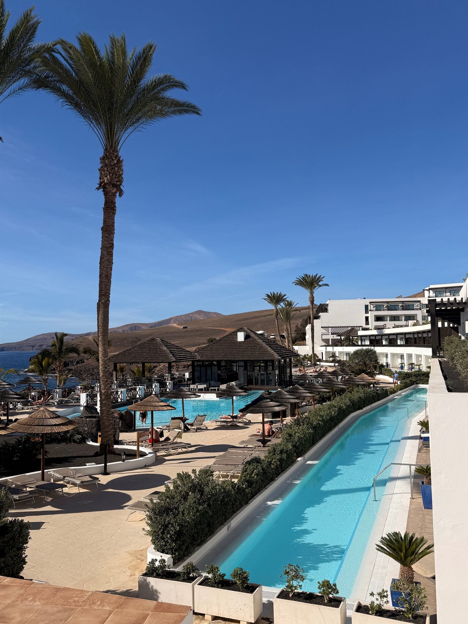 Palm-lined resort pools with volcanic hills in Lanzarote