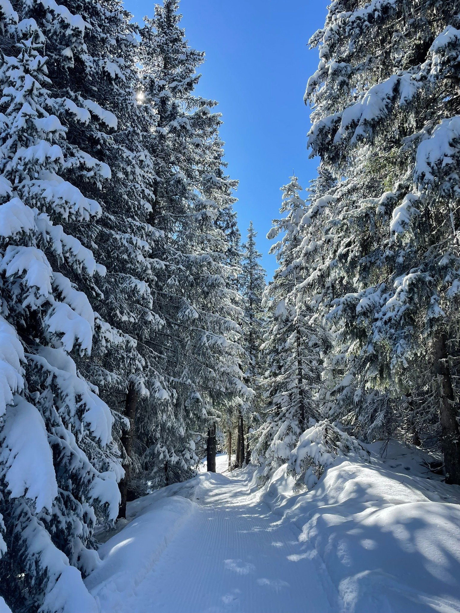 Snowy slopes of Courchevel in winter