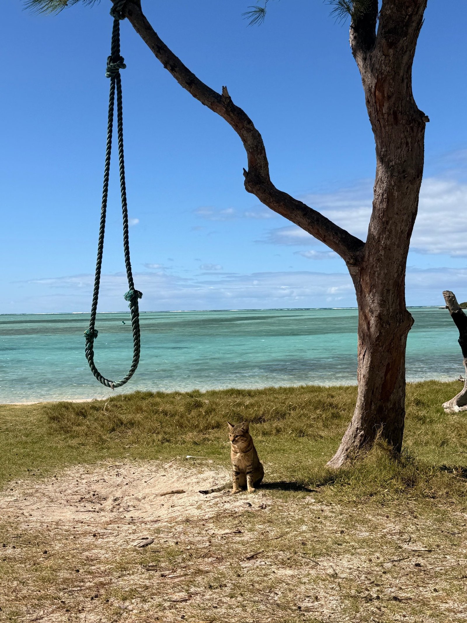 Île aux Chats islet in the Rodrigues lagoon