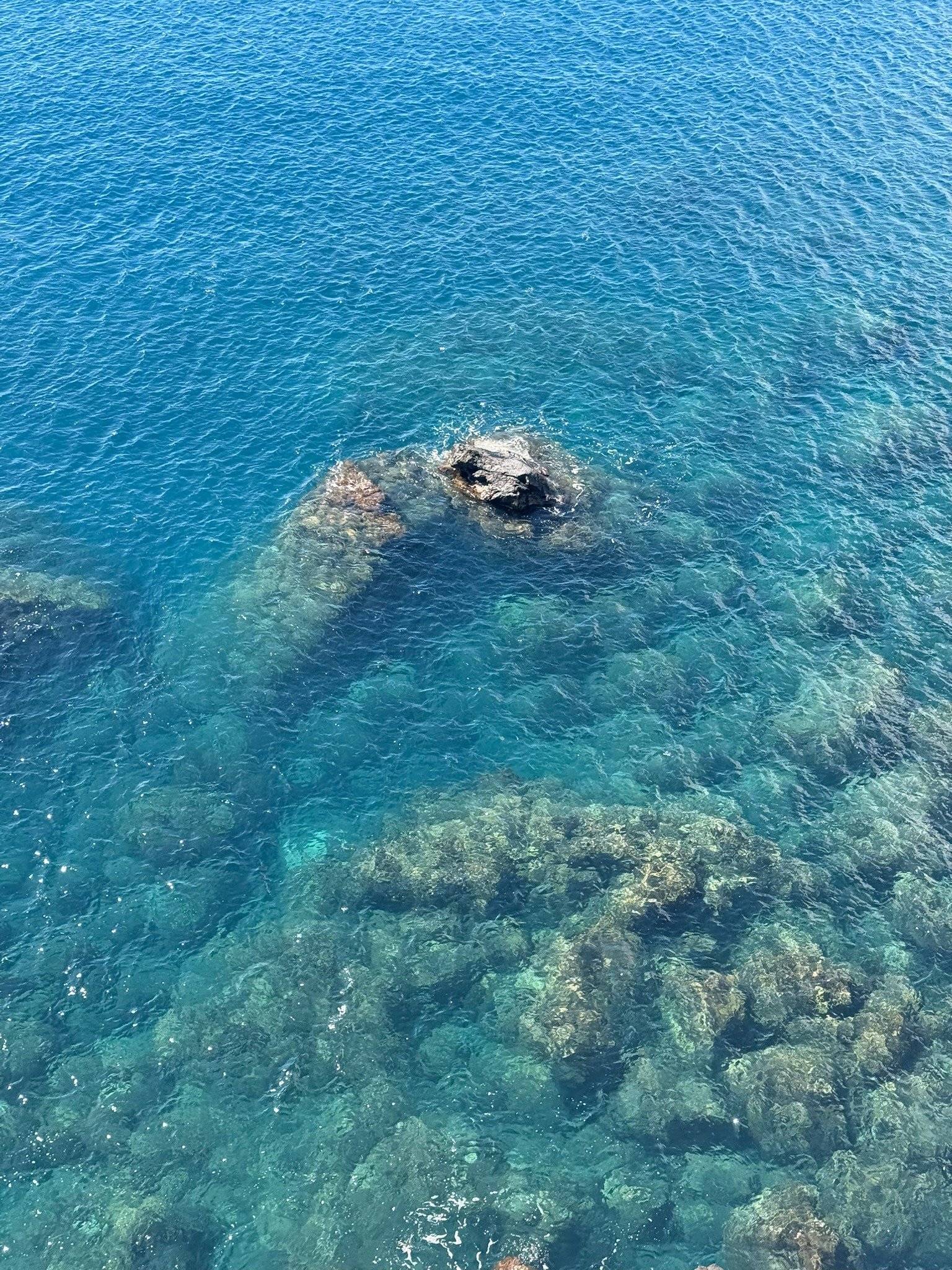 Eau transparente sur le corail et la roche volcanique près du Cap La Houssaye, site de snorkeling à La Réunion
