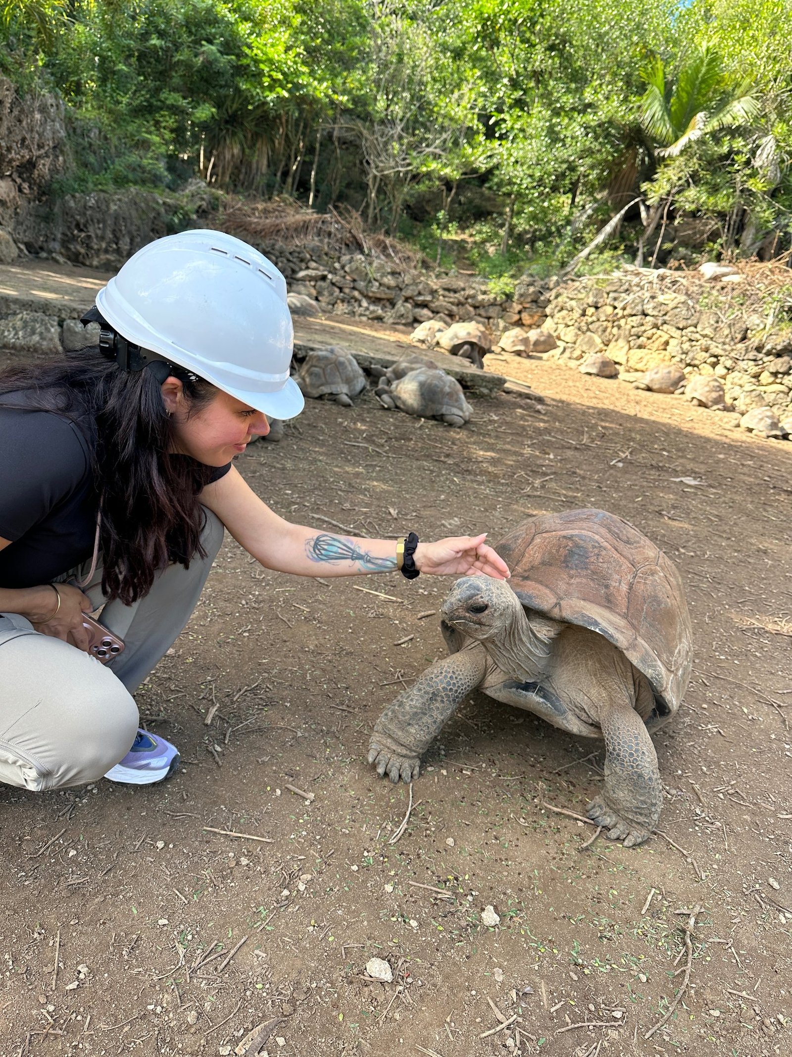 Elisa meeting a giant tortoise at the Francois Leguat Reserve in Rodrigues